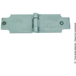 TORBEL Charnière Fine Courte à Souder | 50x35