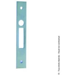 TORBEL Gâche Pour Serrure (en Catégorie S)